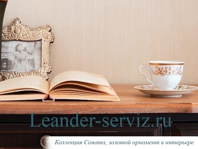 картинка Тарелка столовая 25 см Соната, Золотой орнамент (6 штук) 07160115-1373 Leander от интернет-магазина Leander Serviz